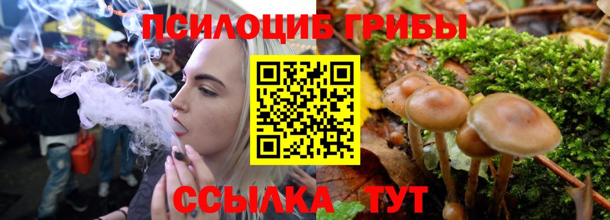 Заводоуковск  Псилоцибиновые грибы Cubensis  Галлюциногенные грибы GOLDEN TEACHER  Вход с VPN 