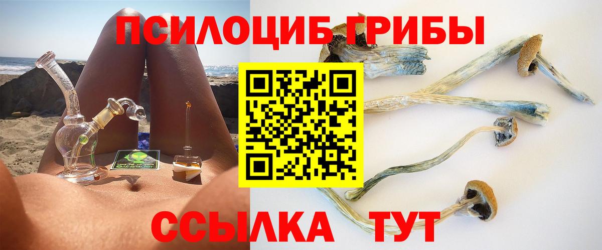Галлюциногенные грибы прущие грибы Заводоуковск